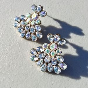 Rainbow Peacock Earrings